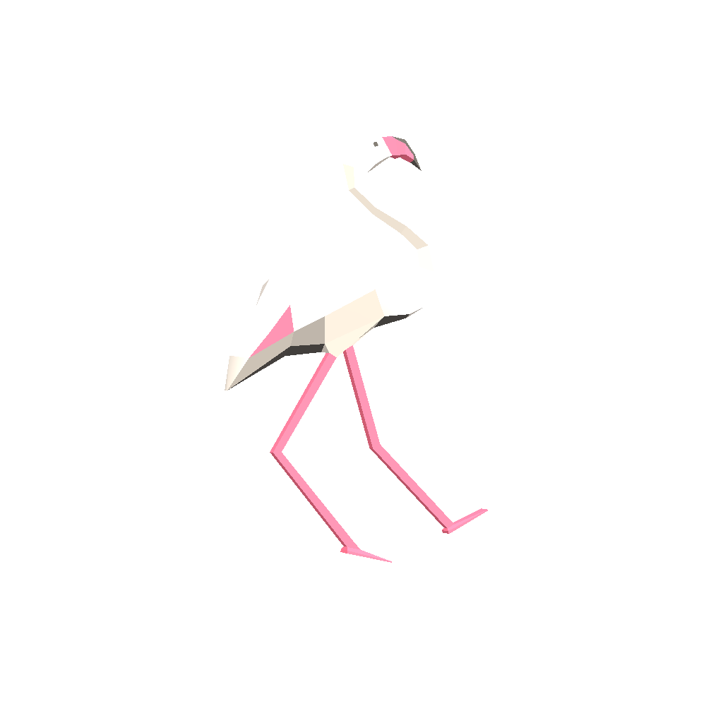 Flamingo